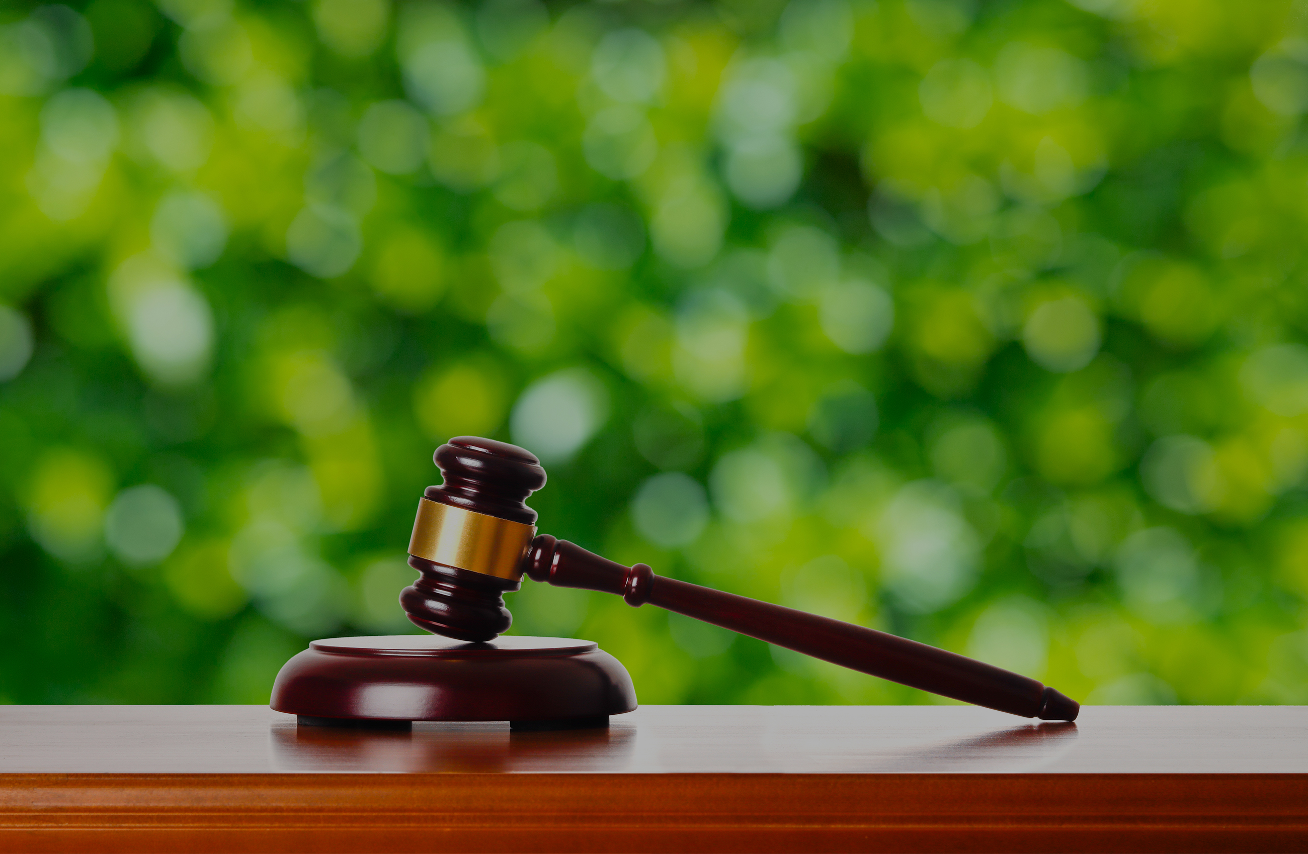 BOAオークション